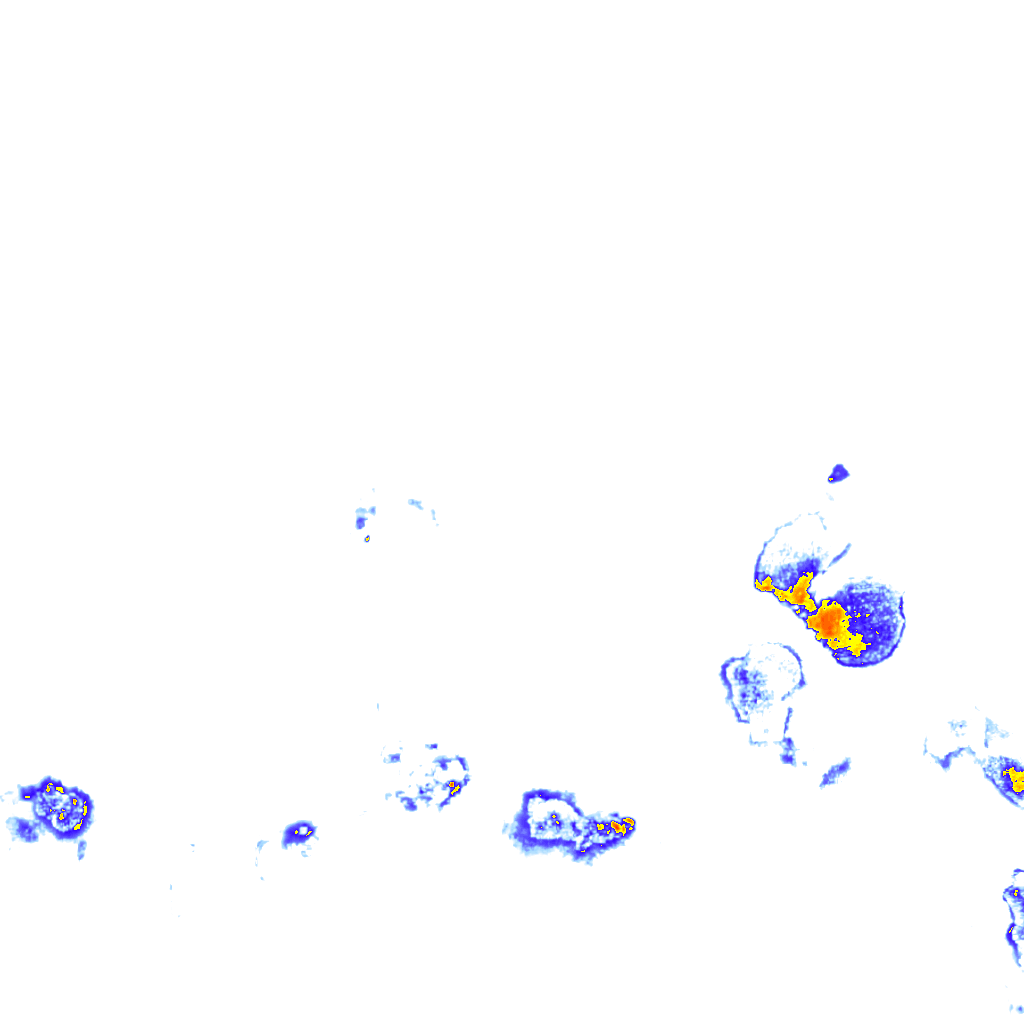 rainLayer