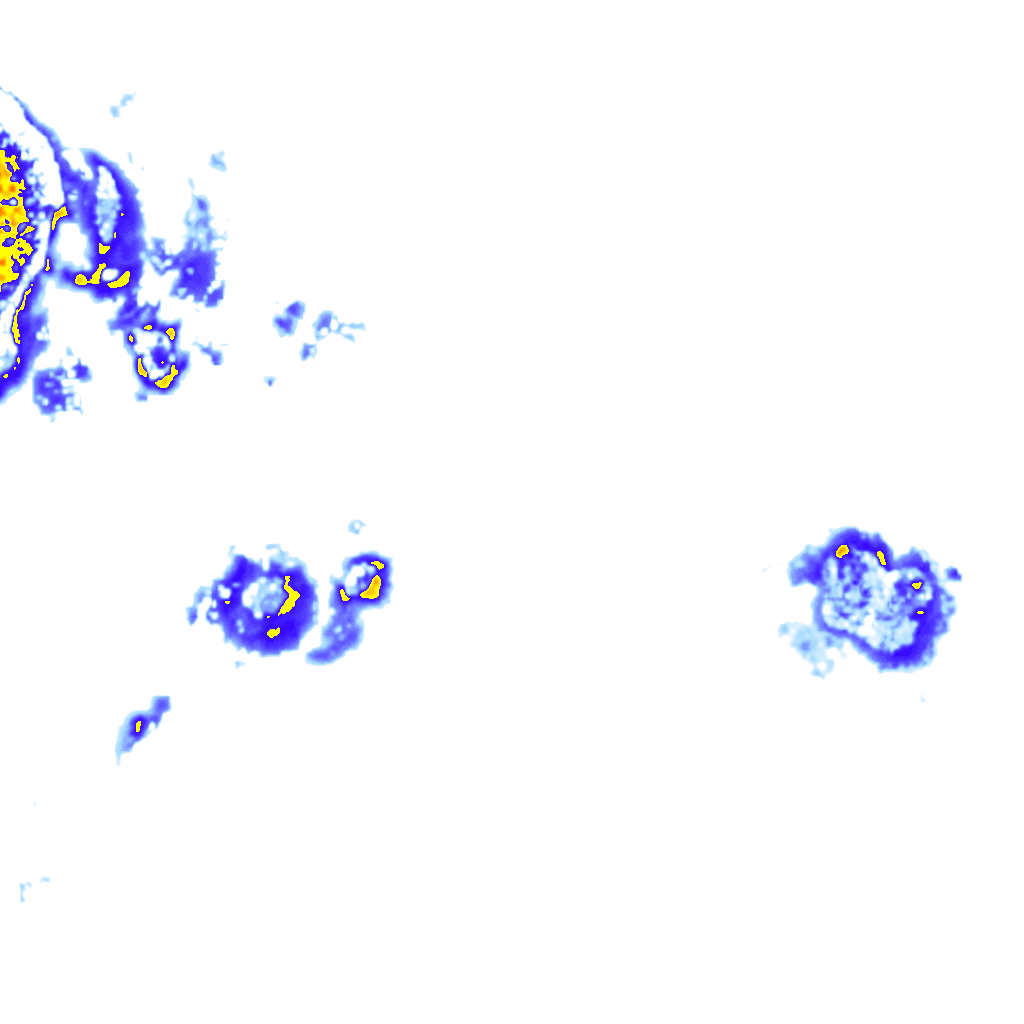 rainLayer