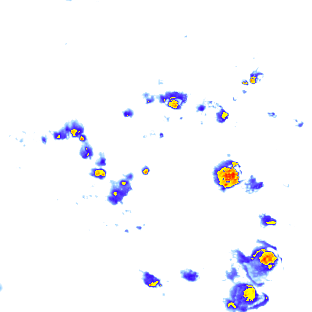 Image Layer
