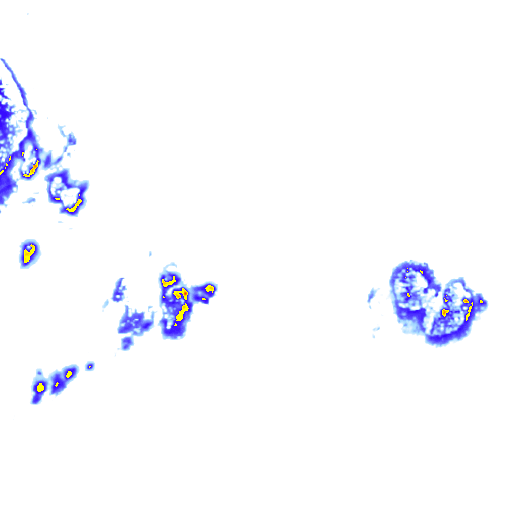rainLayer