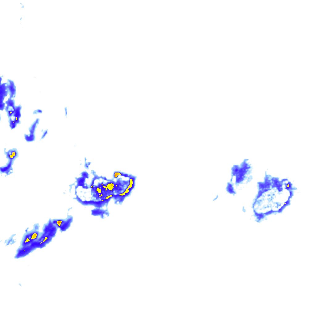 rainLayer