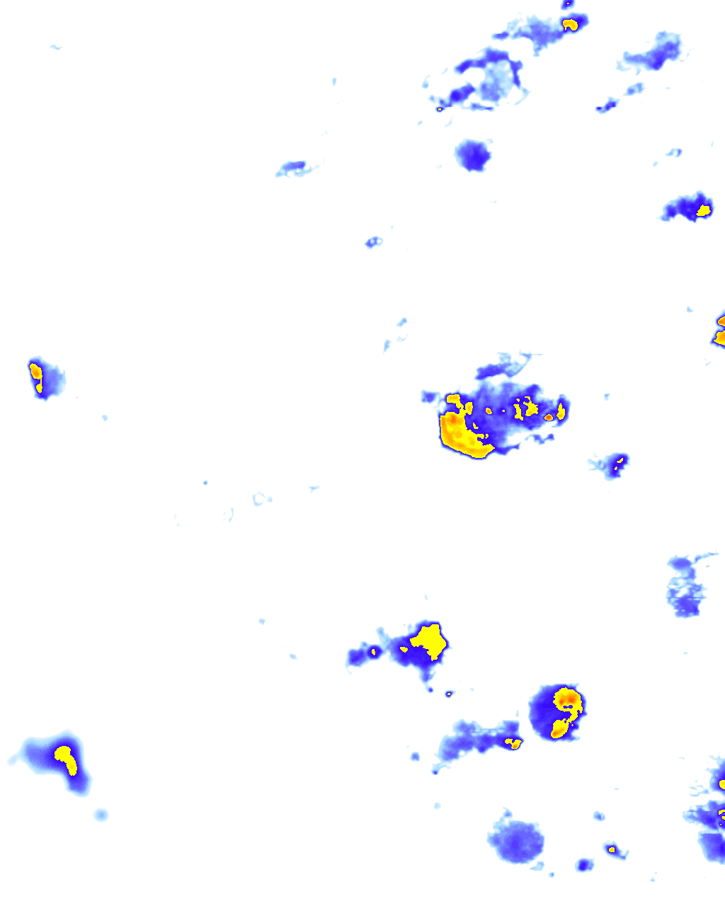 rainLayer