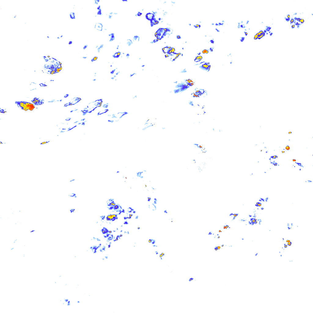 rainLayer
