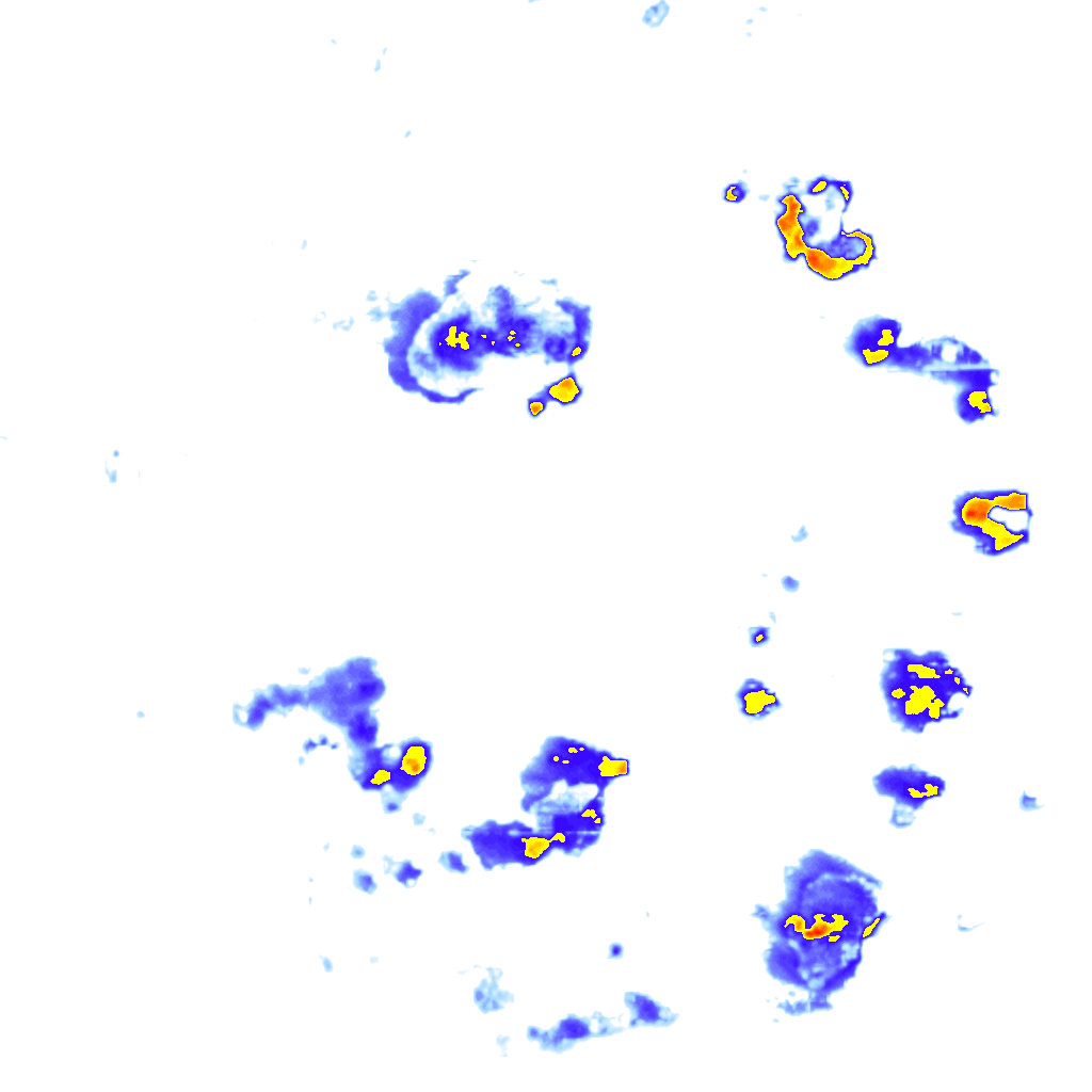 Image Layer
