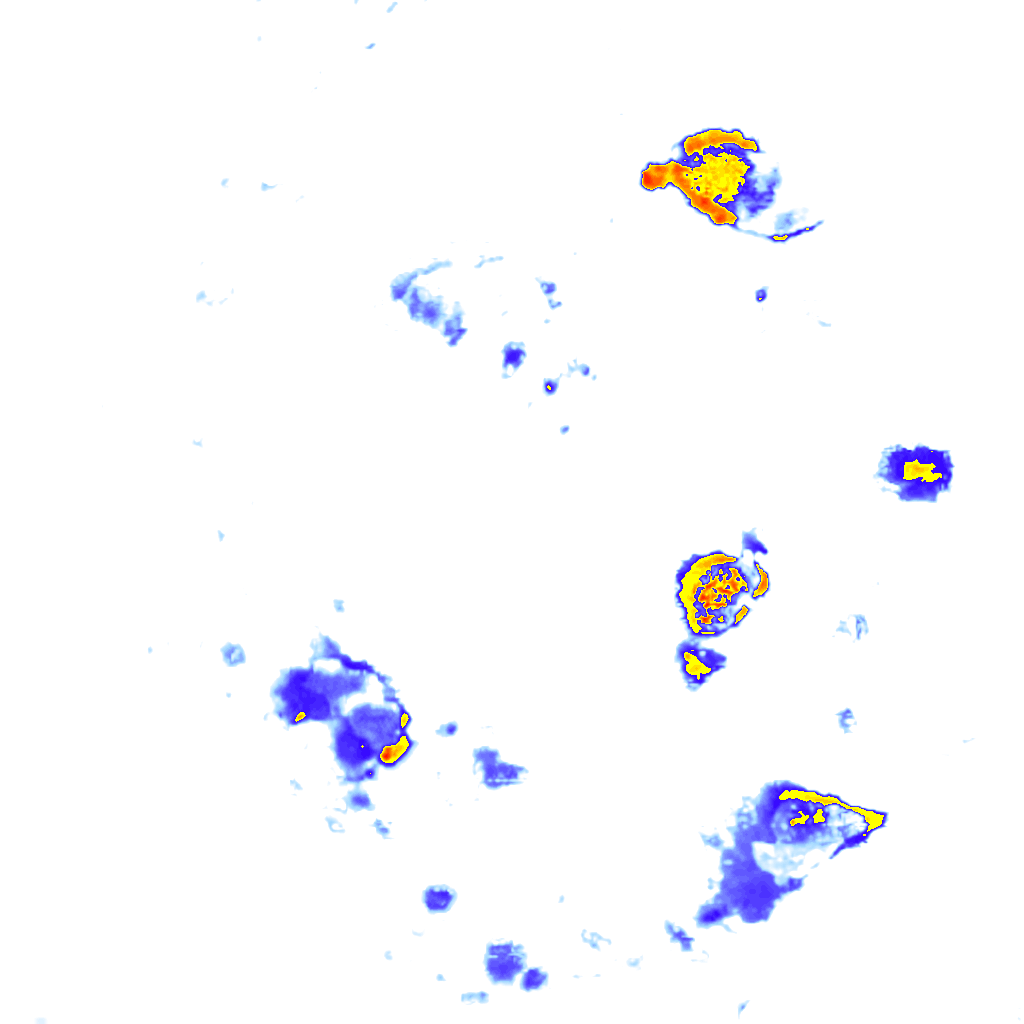 Image Layer