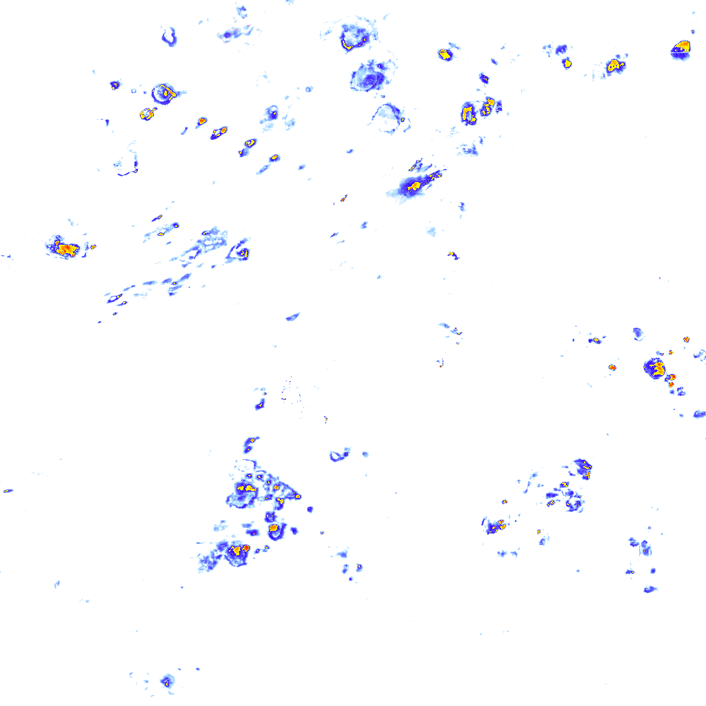 rainLayer