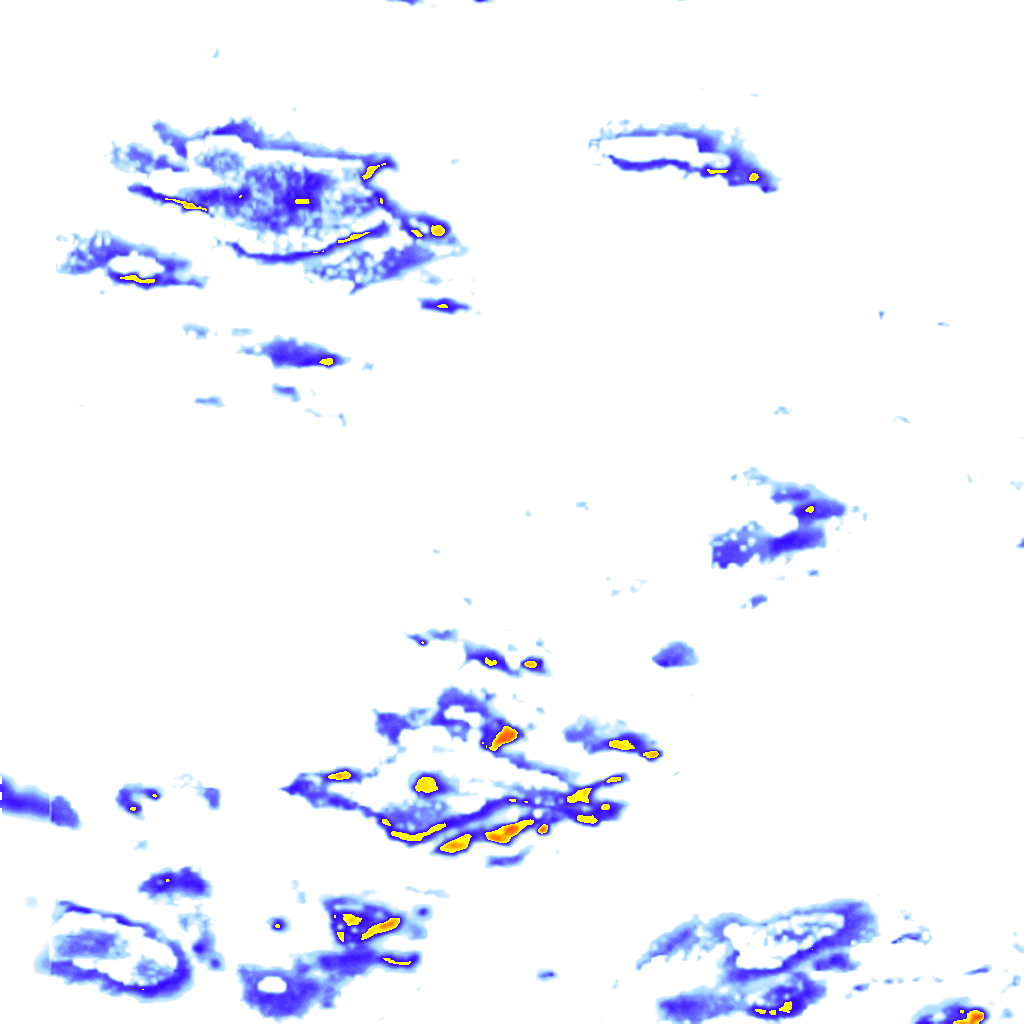 Image Layer