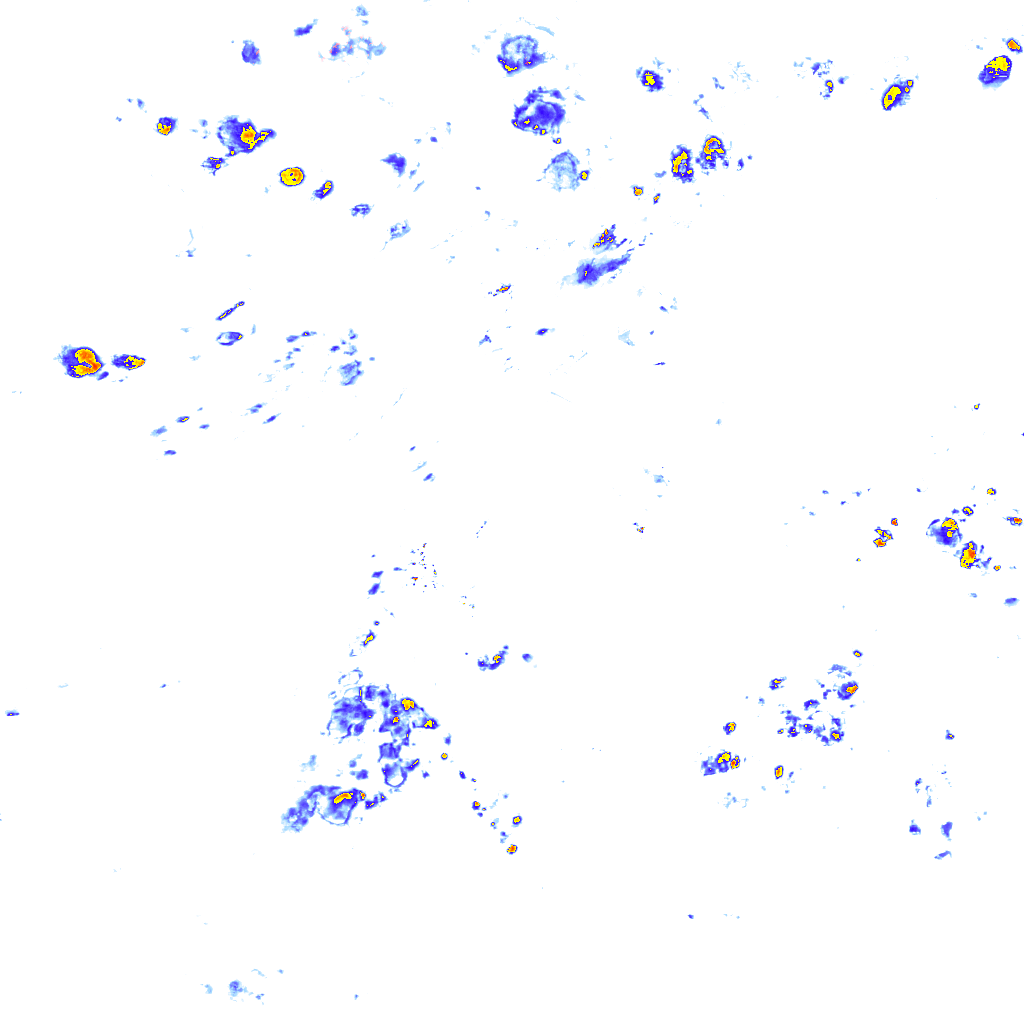 Image Layer