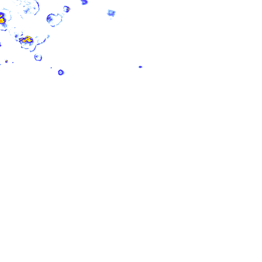 rainLayer