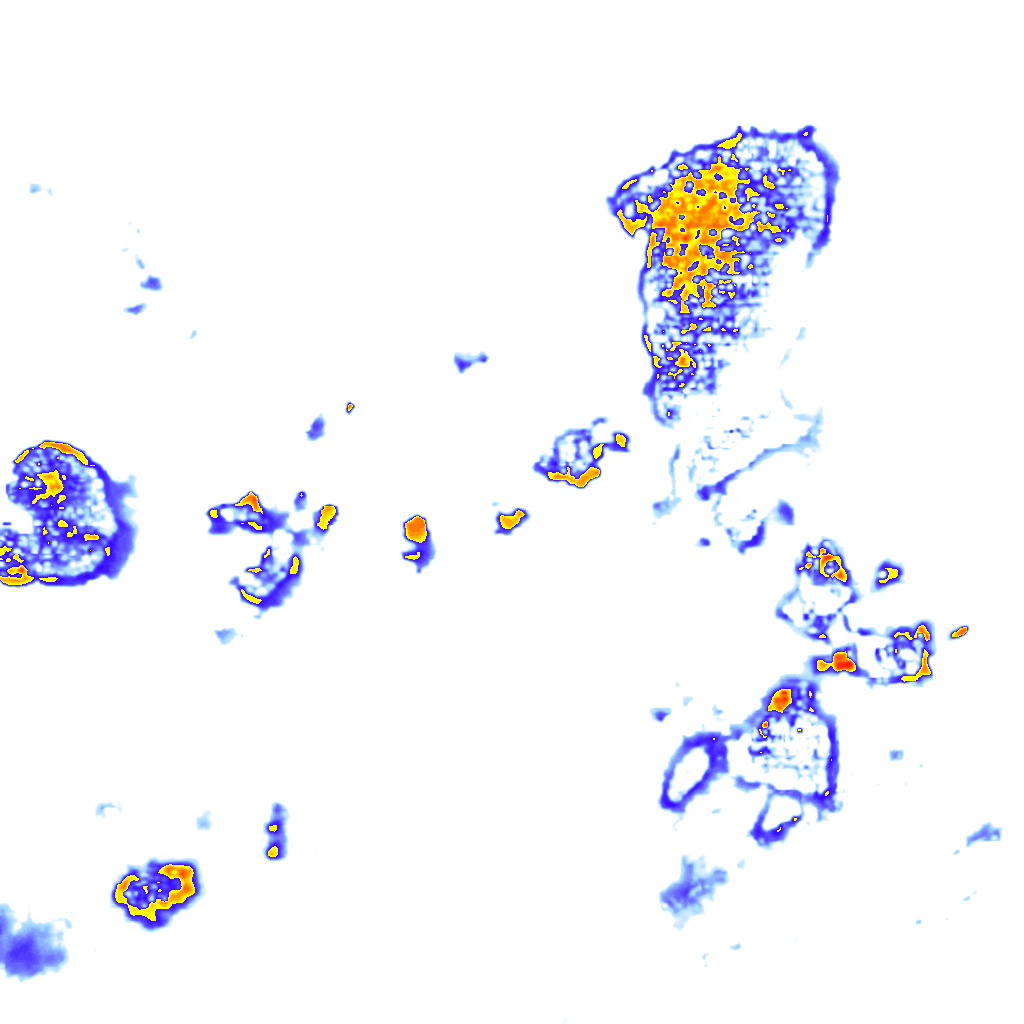 Image Layer