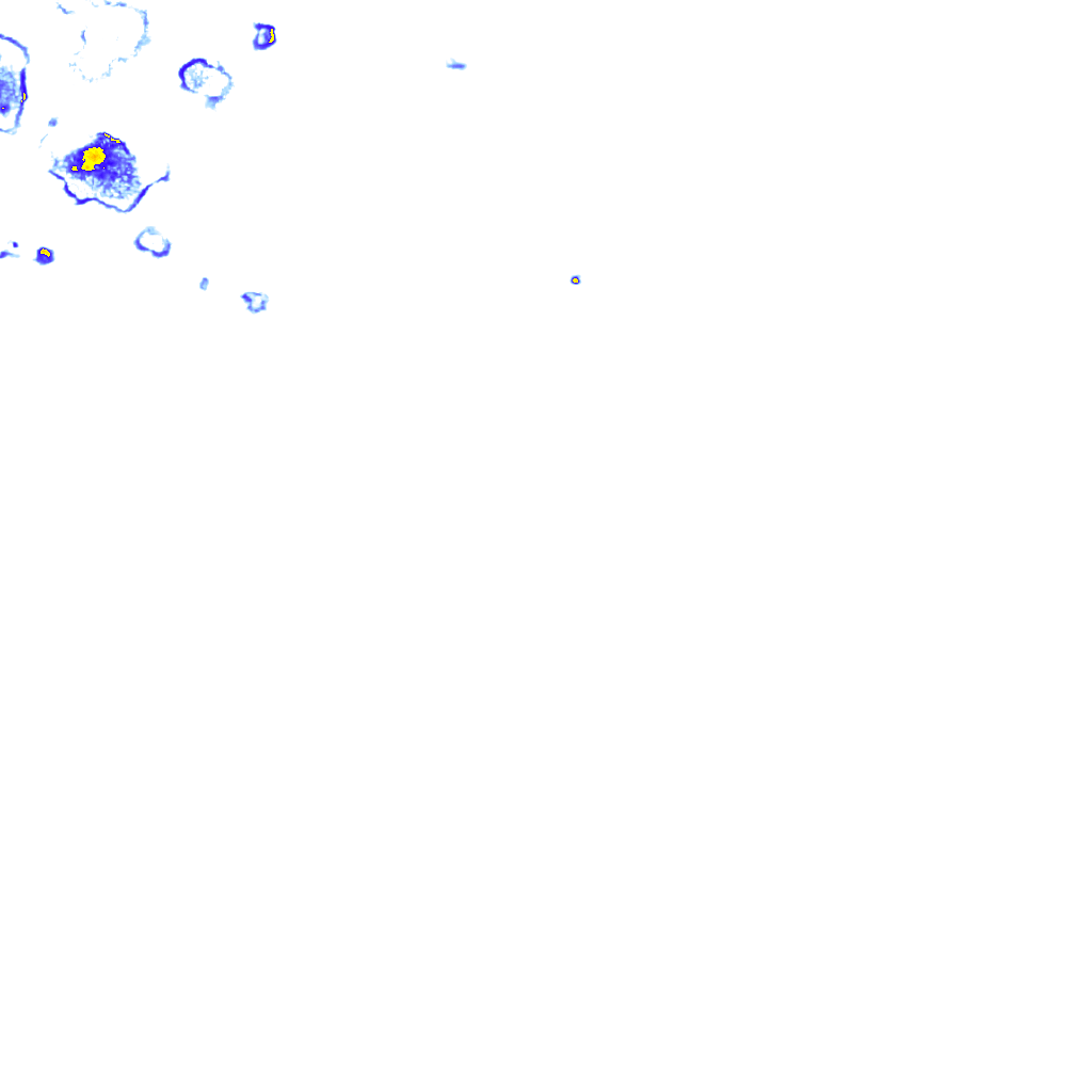 rainLayer