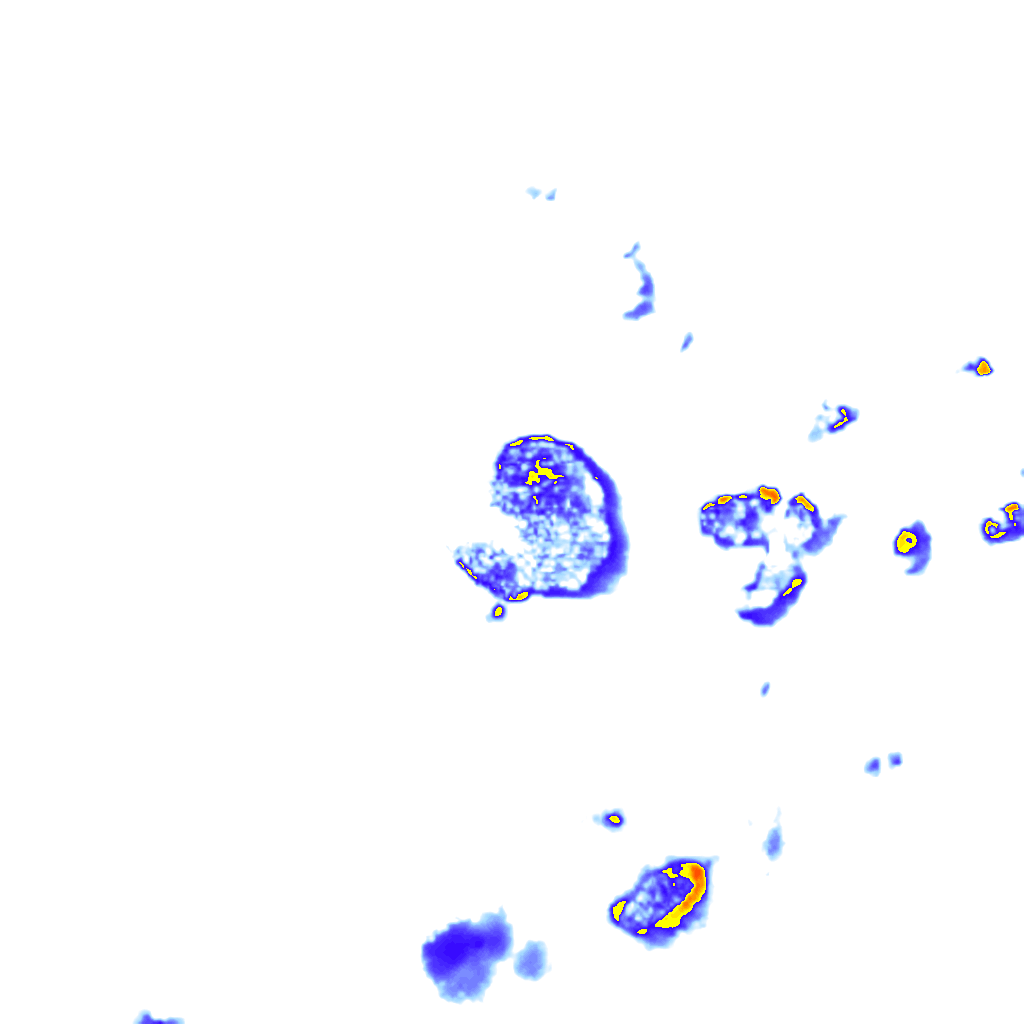 Image Layer