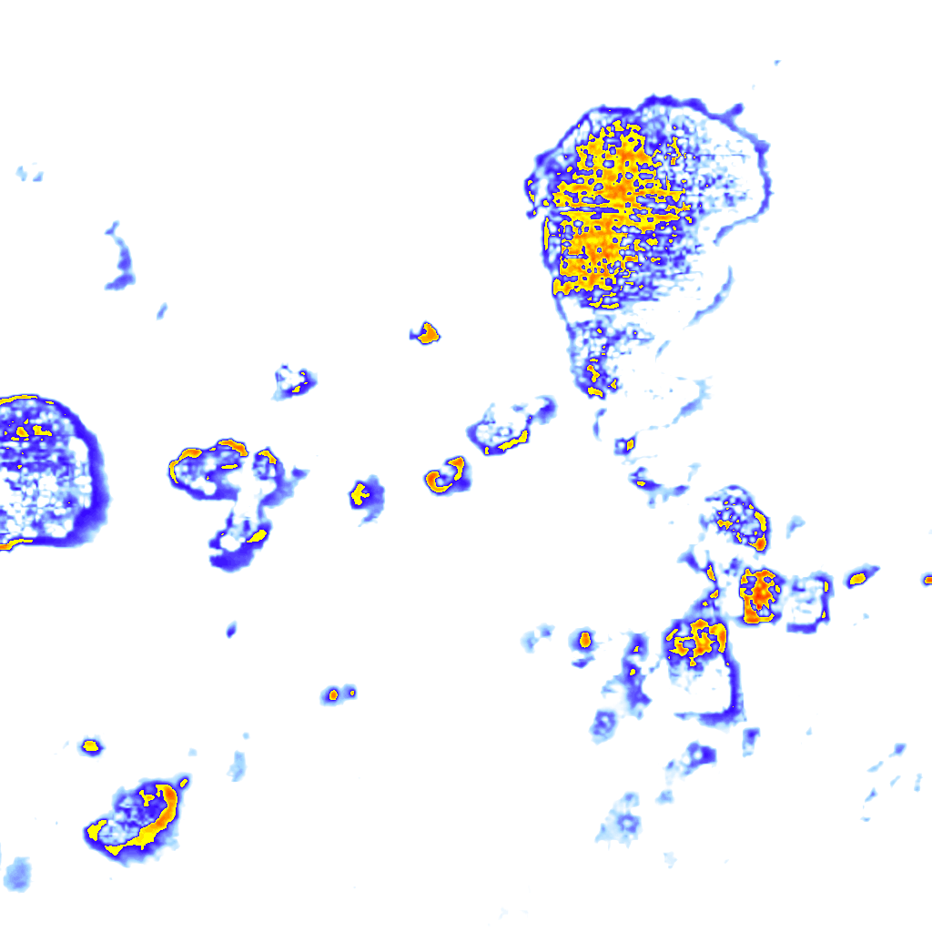rainLayer