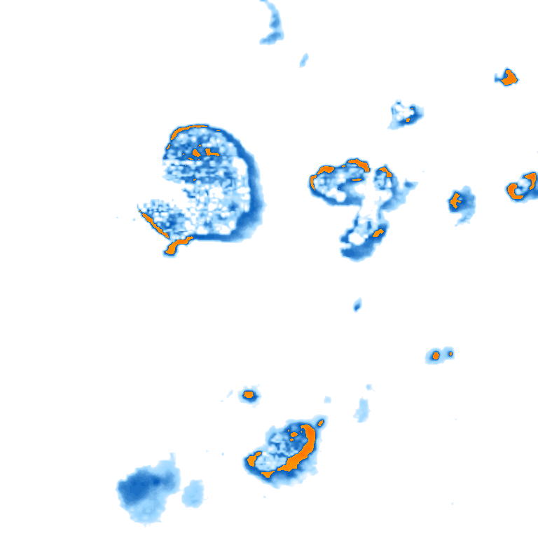 rain layer