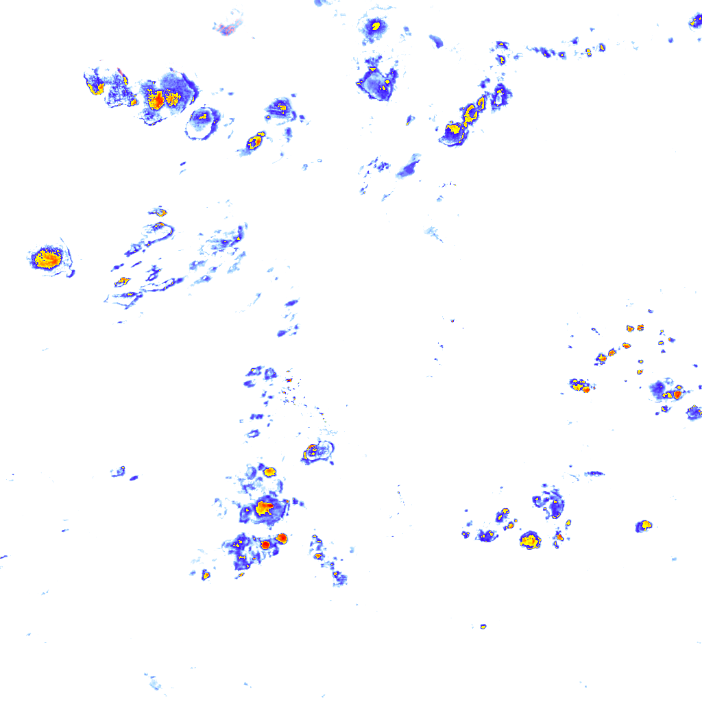 rainLayer