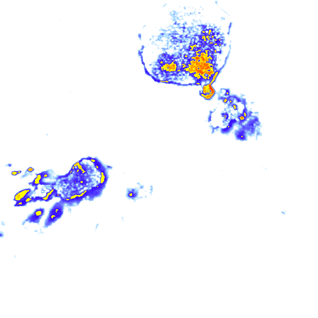 rainLayer