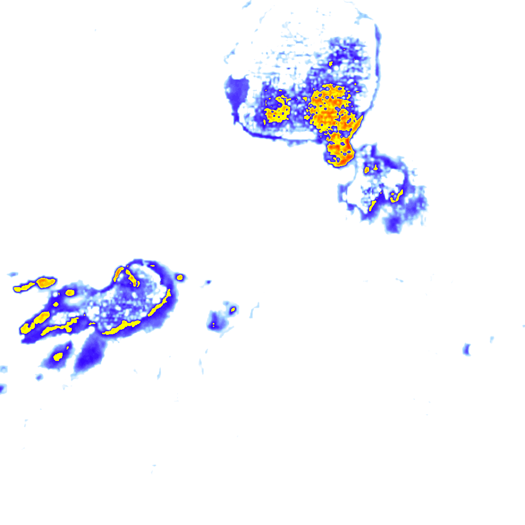 Image Layer