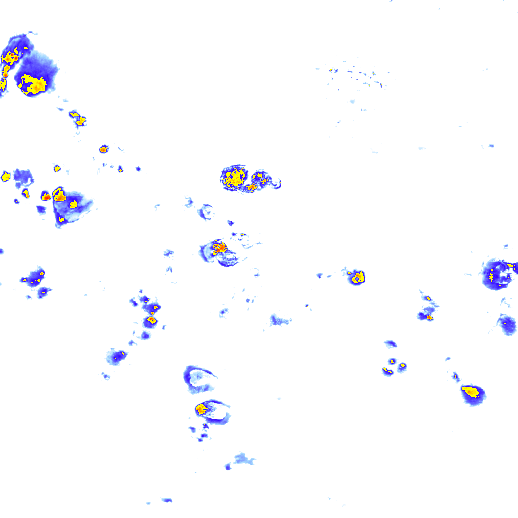 rainLayer