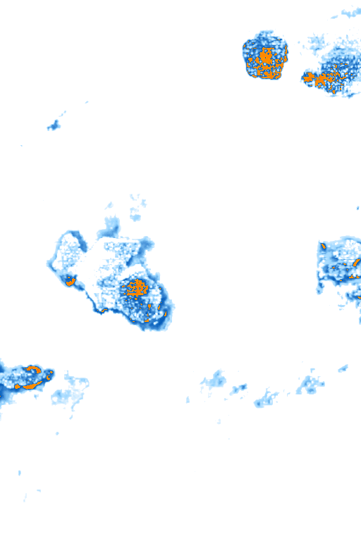 rain layer