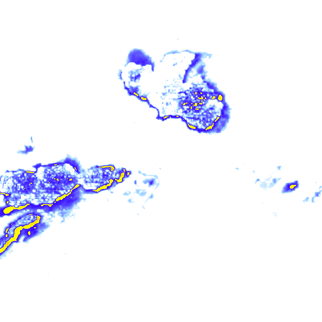 rainLayer