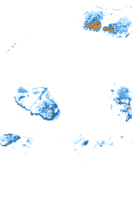 rain layer