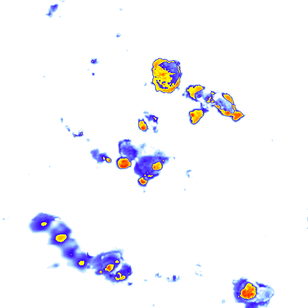 Image Layer