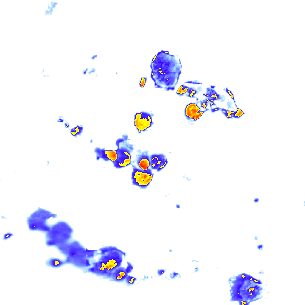 Image Layer