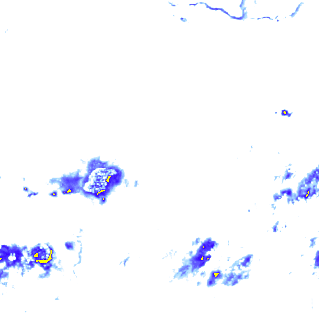 rainLayer