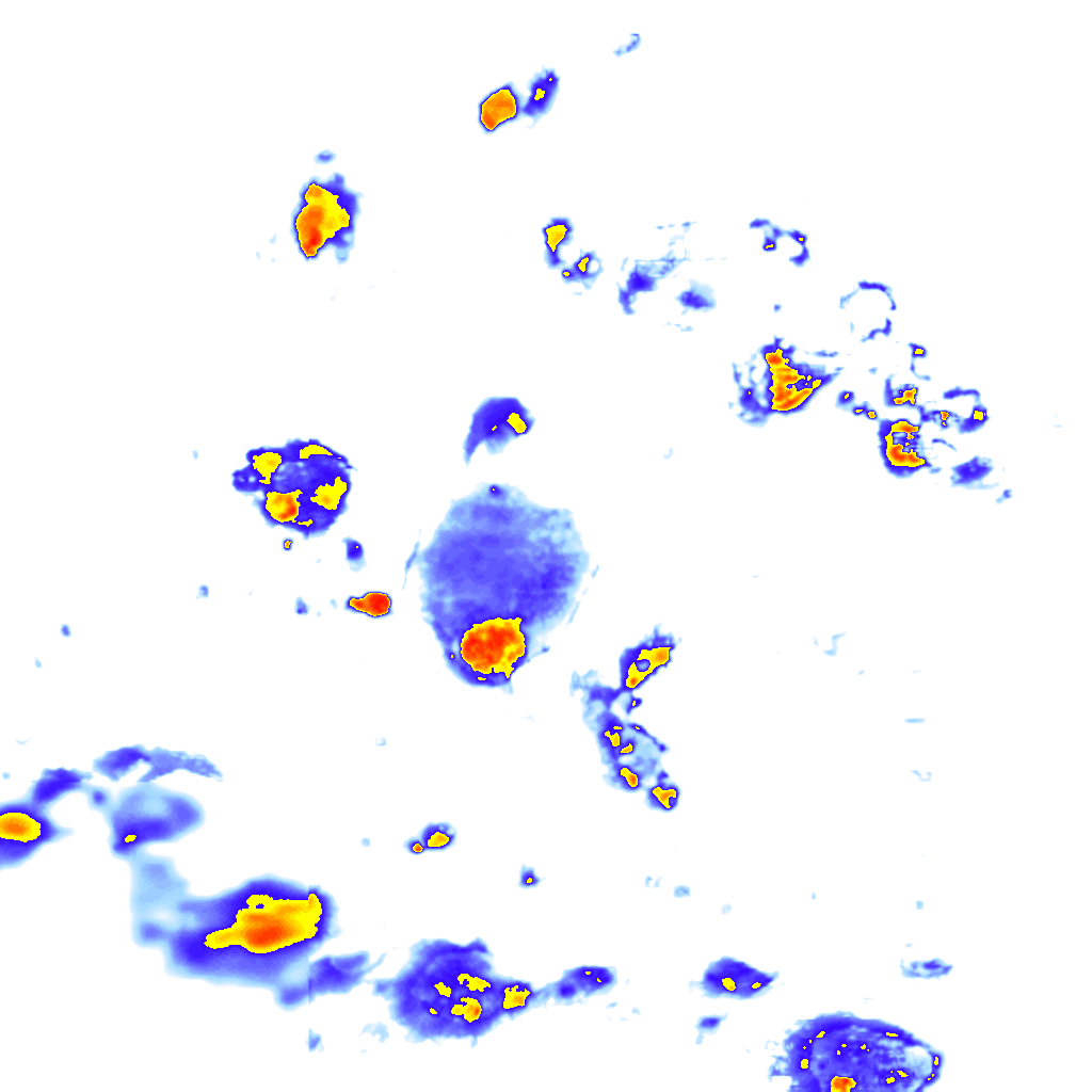 rainLayer