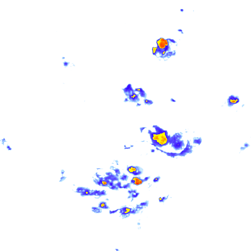 rainLayer