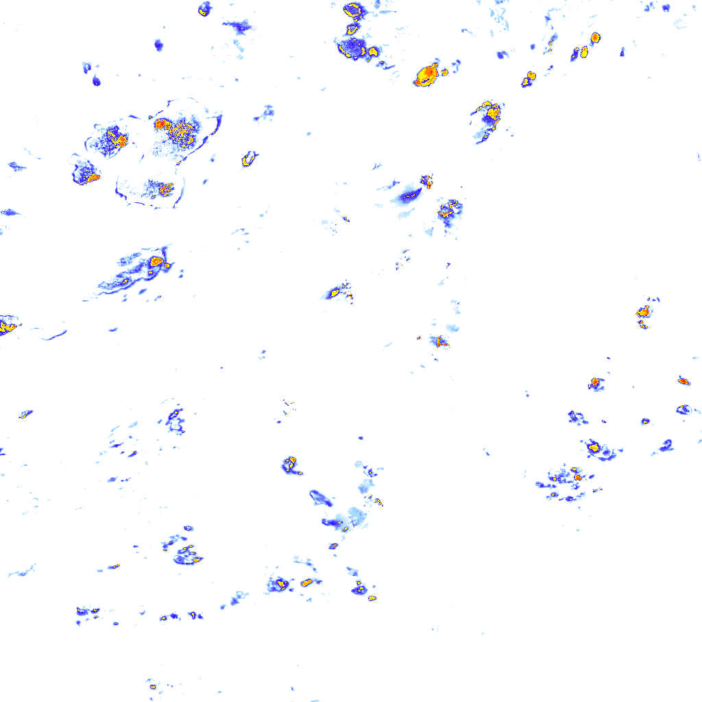 rainLayer
