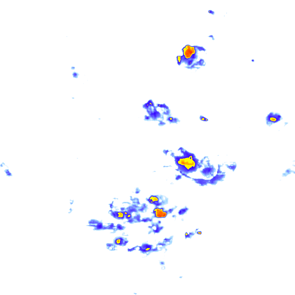 rainLayer