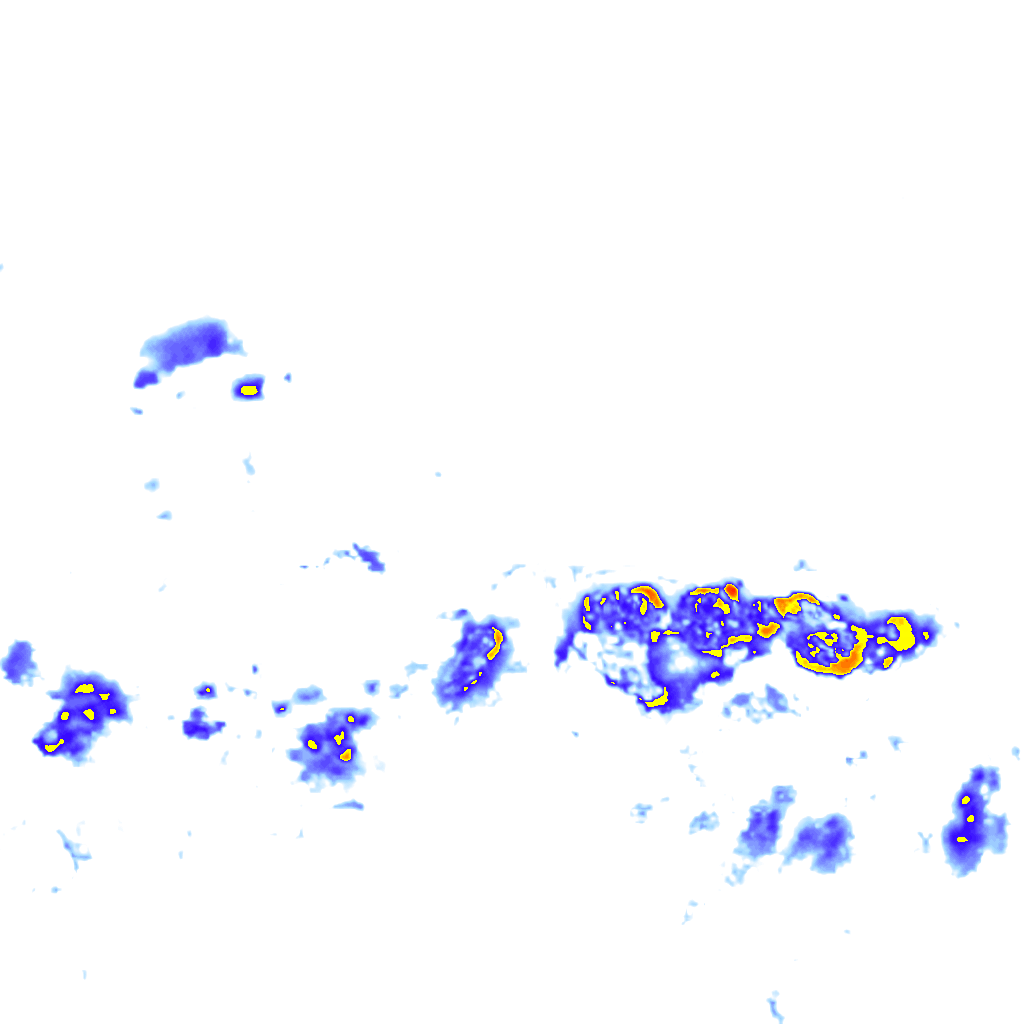 Image Layer