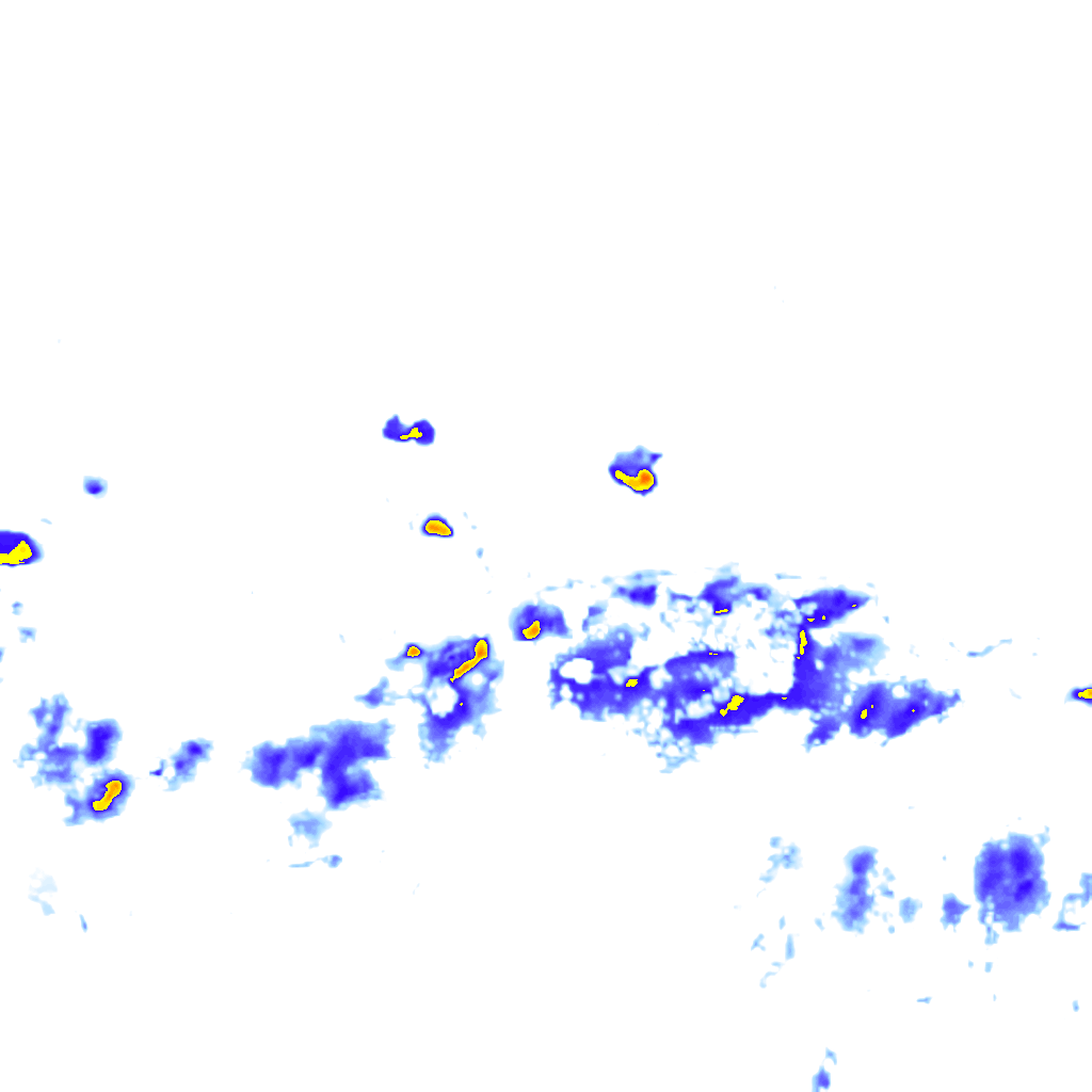 rainLayer