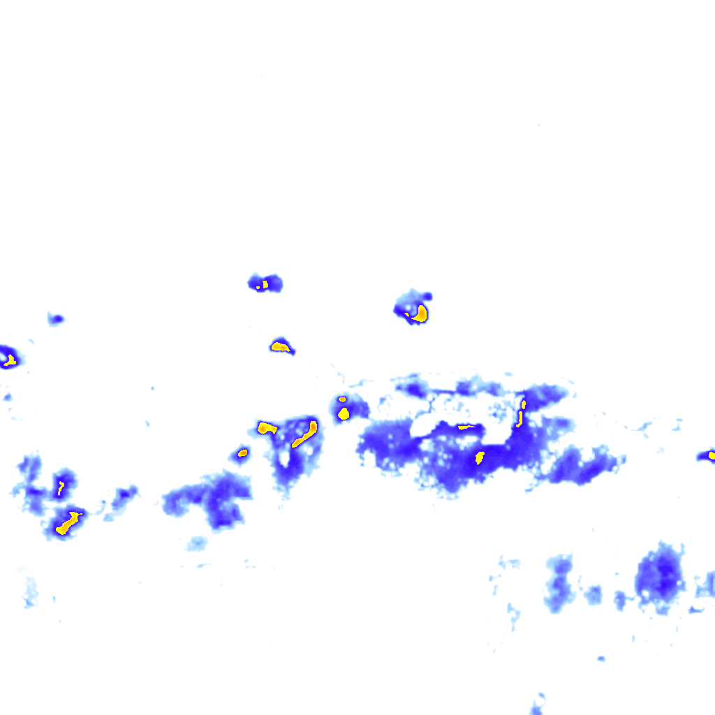 rainLayer