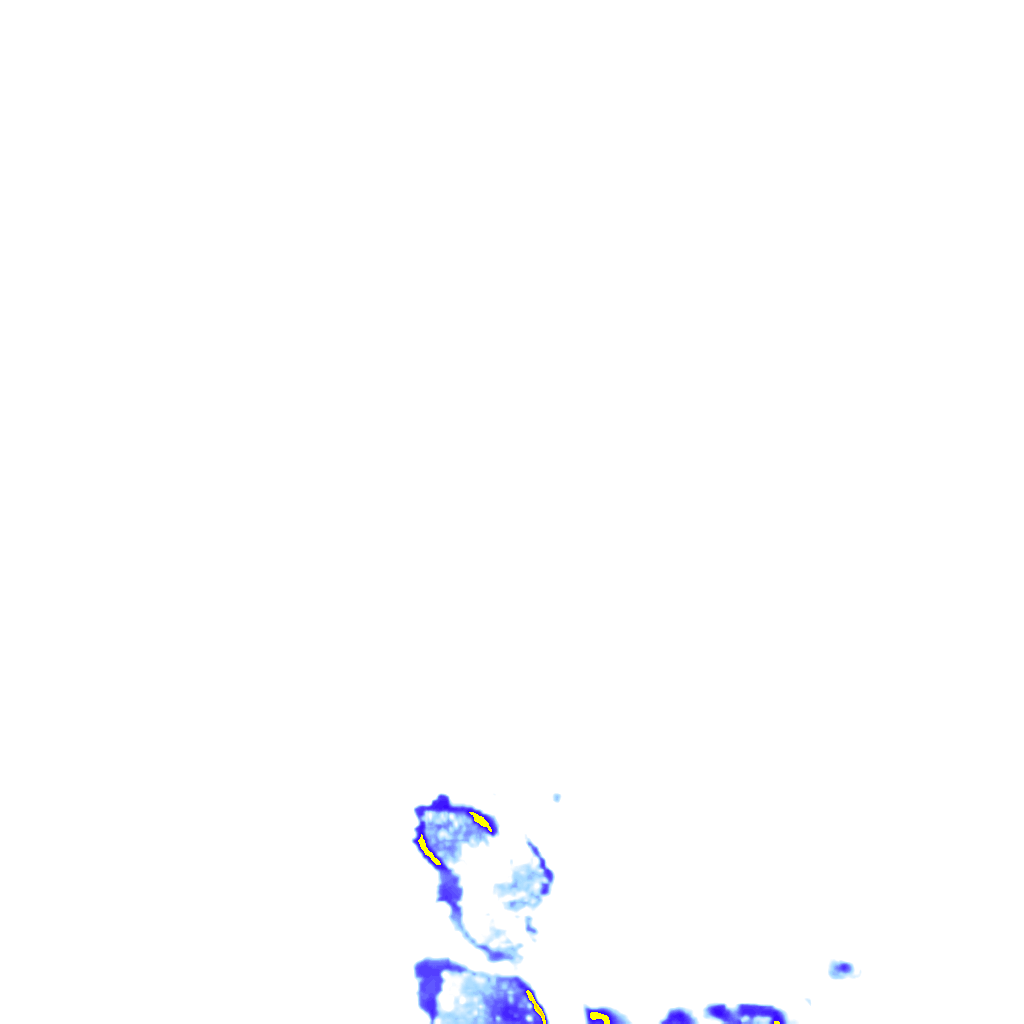 rainLayer
