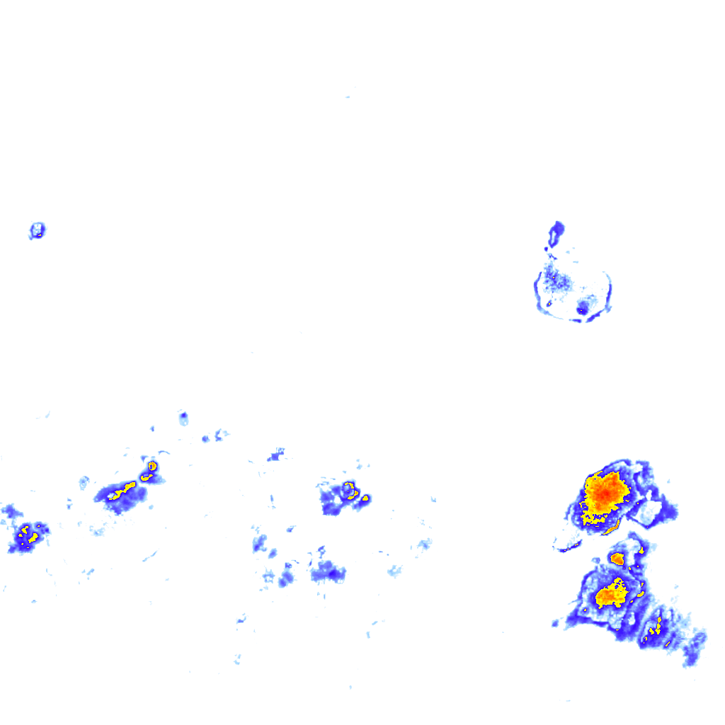 Image Layer