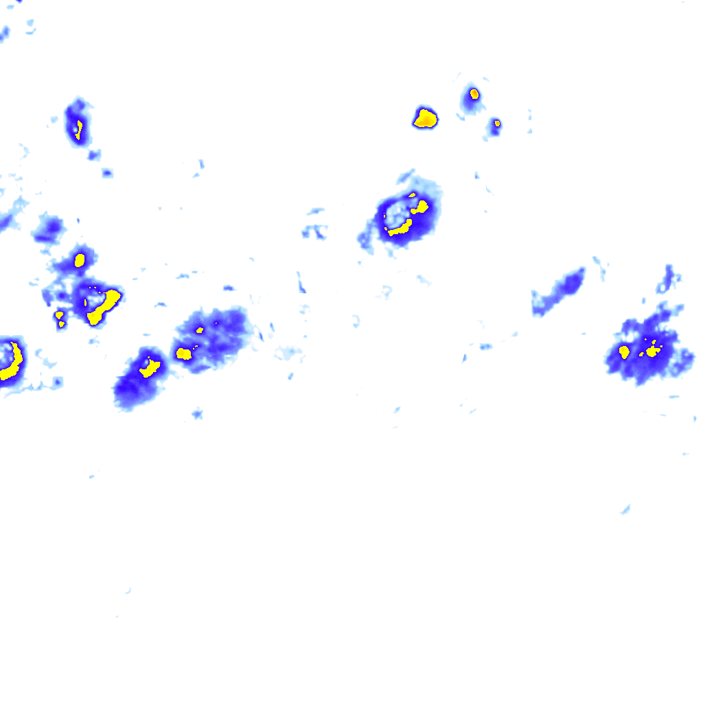 rainLayer