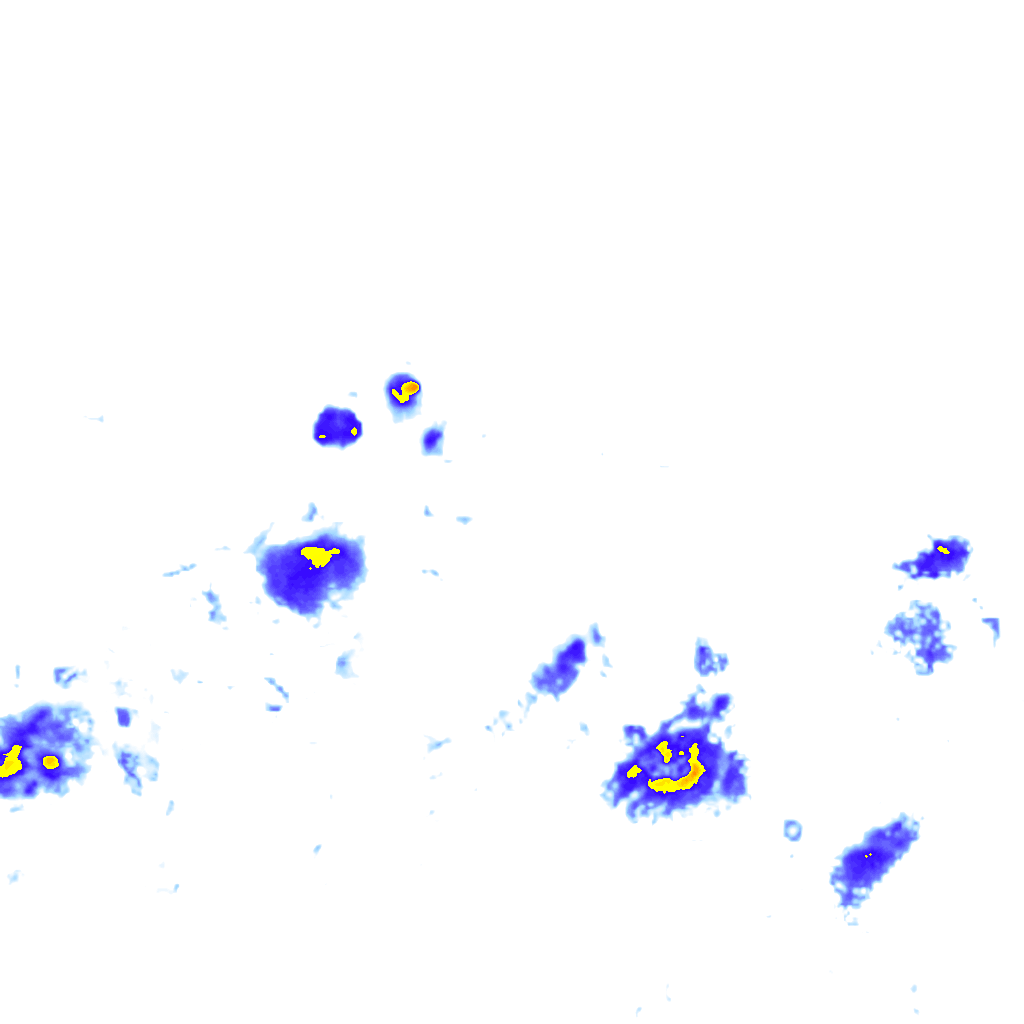 Image Layer