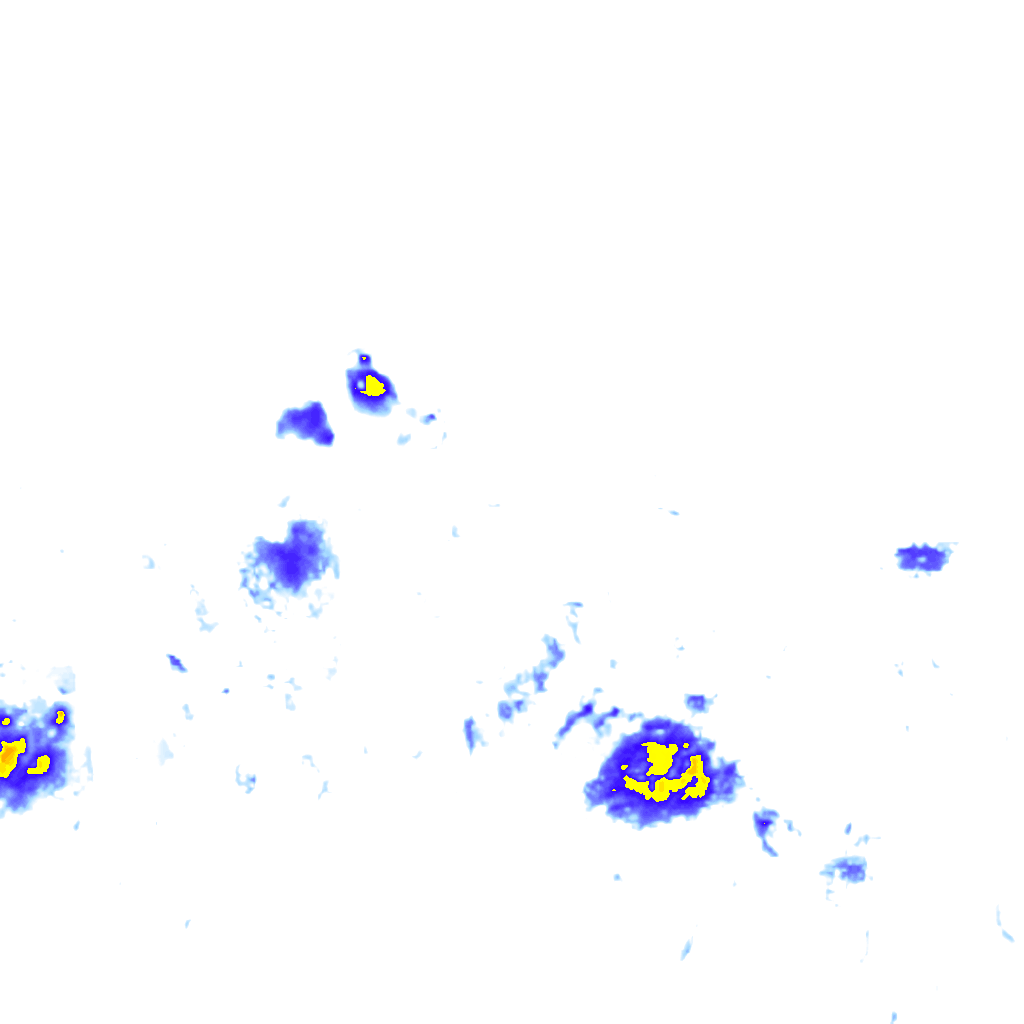 Image Layer