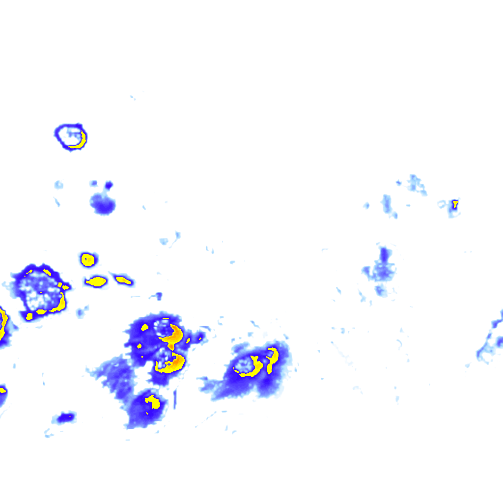 Image Layer