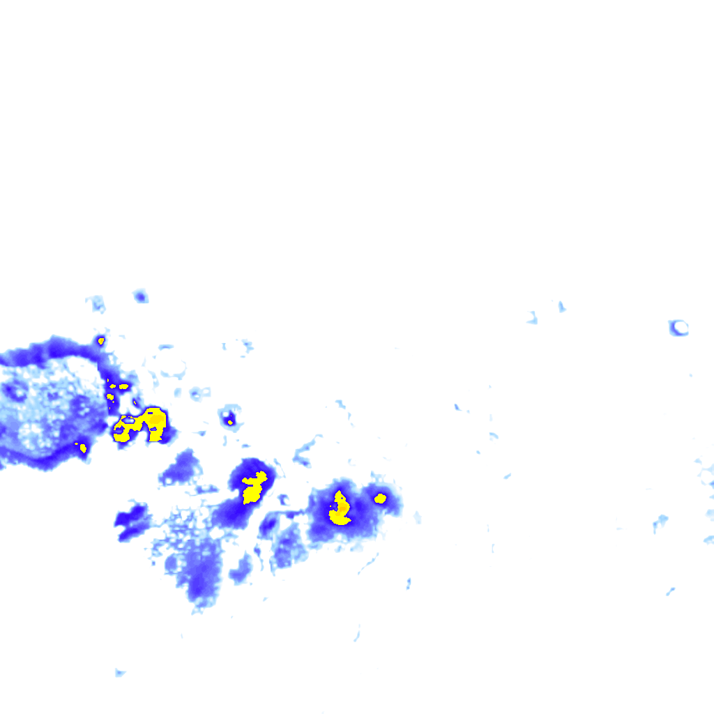 rainLayer