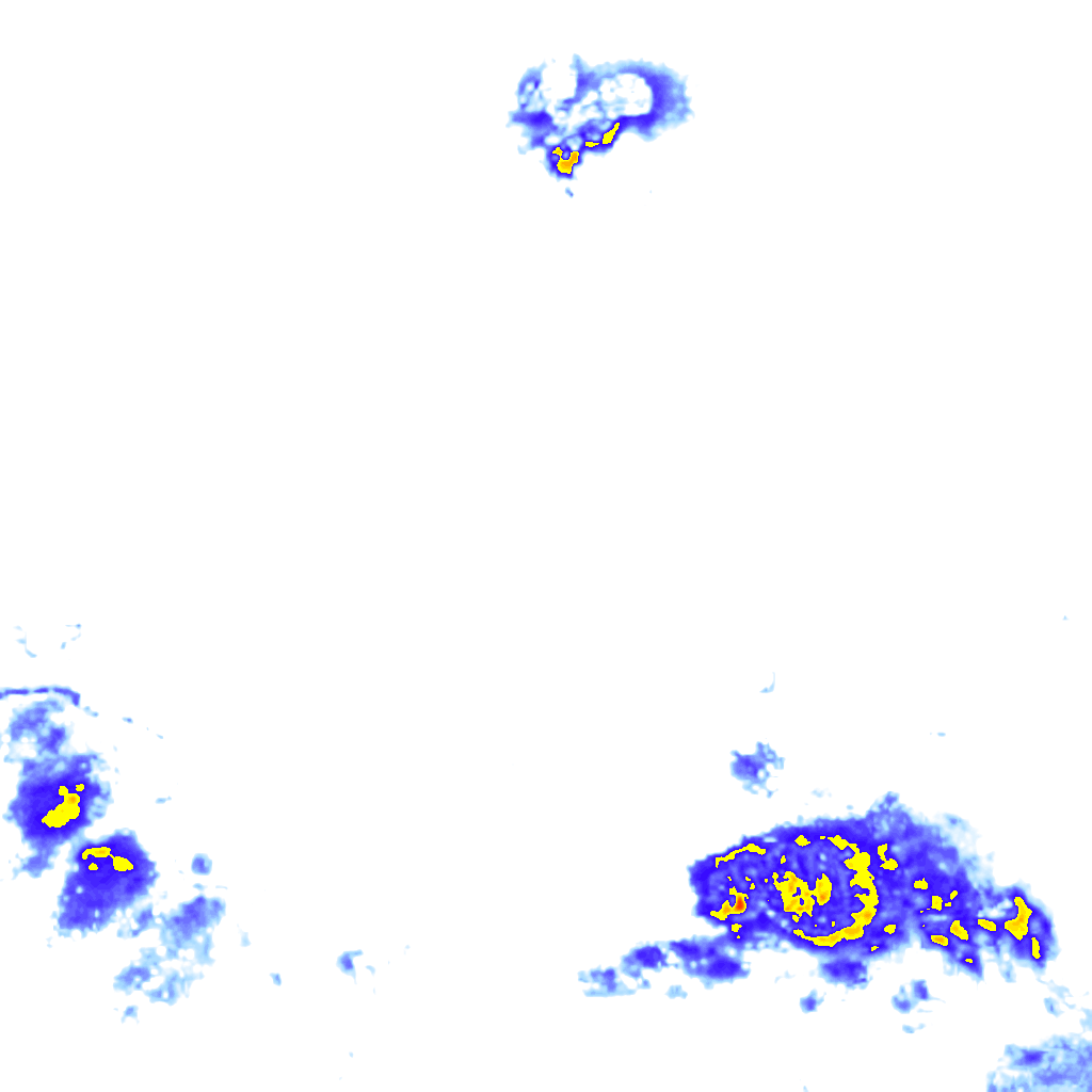 Image Layer