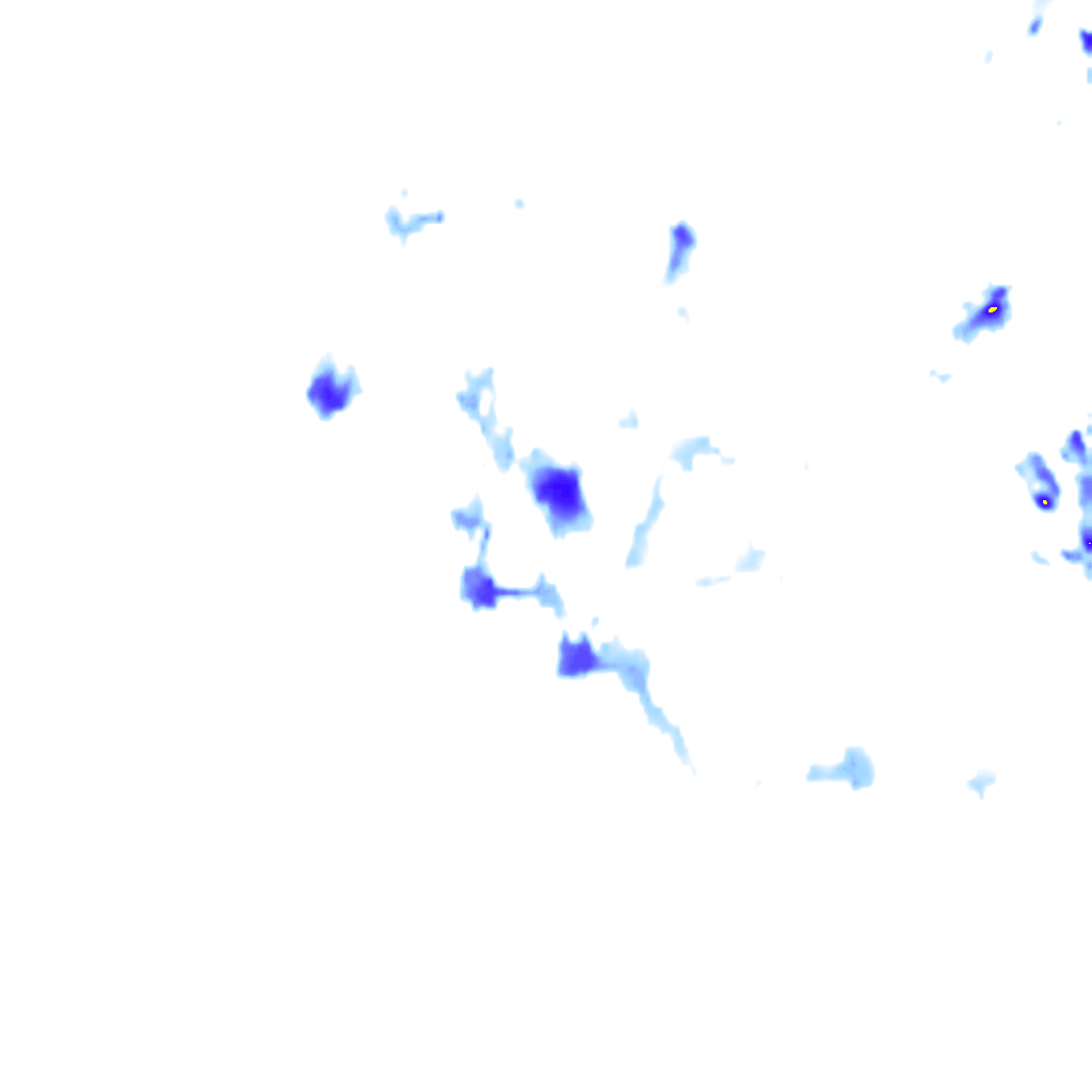 rainLayer