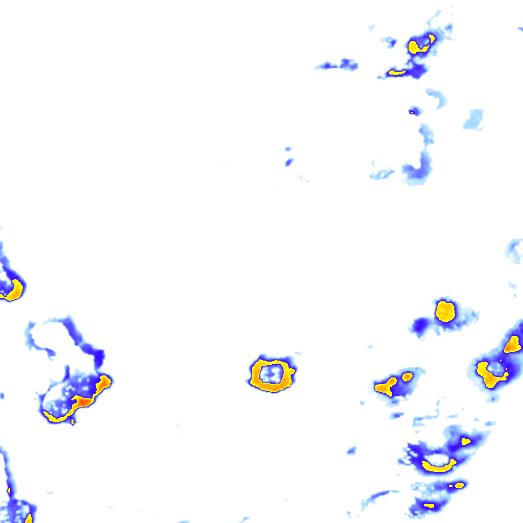 rainLayer