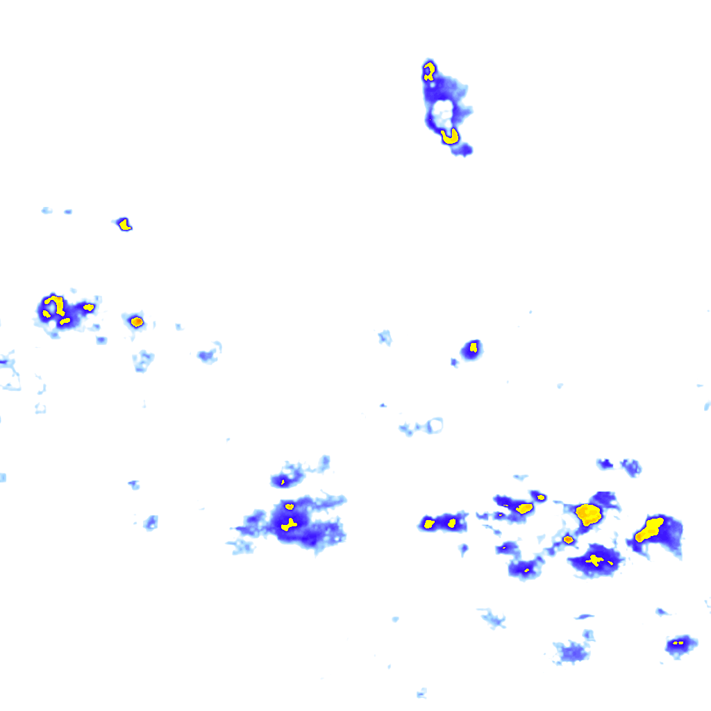 rainLayer