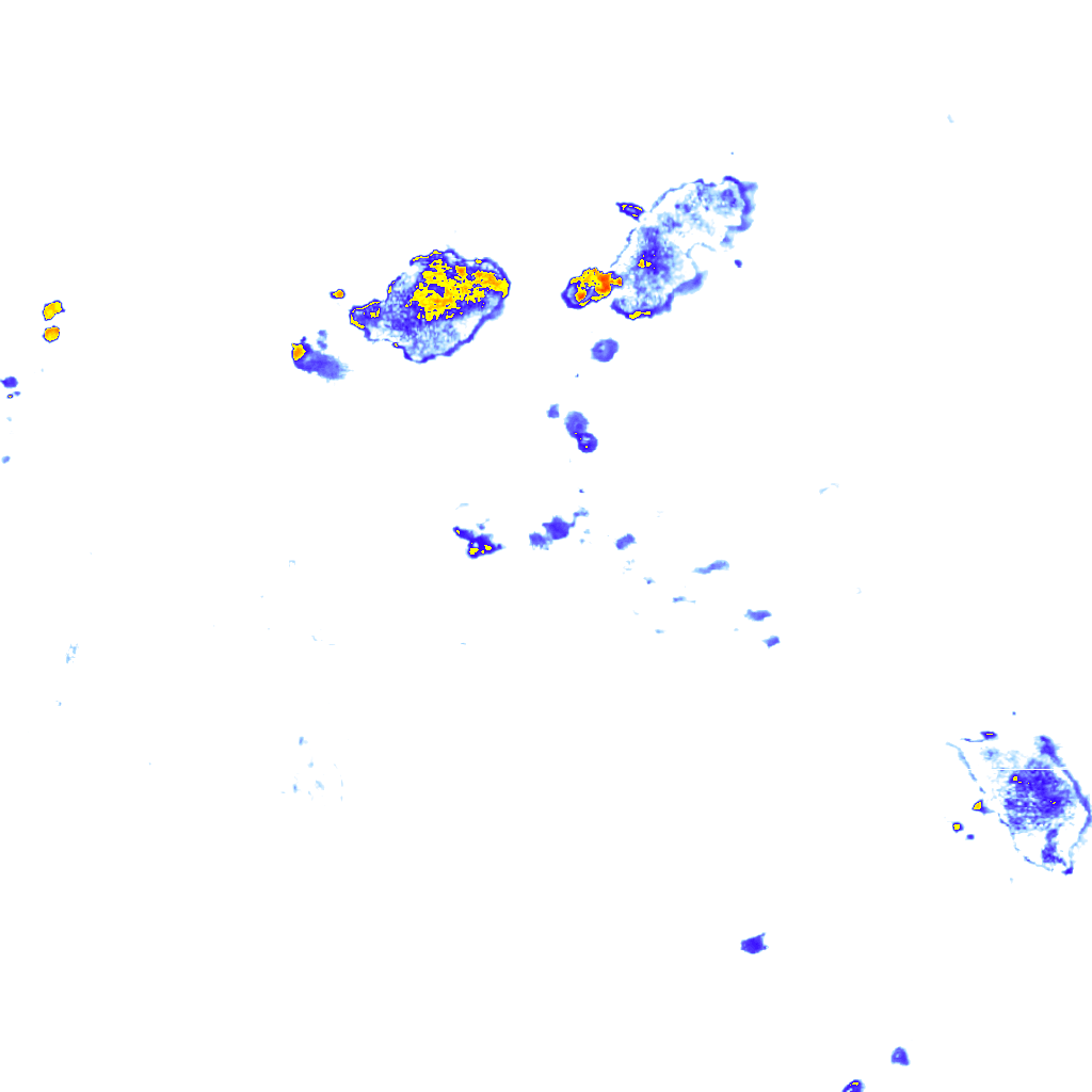 rainLayer