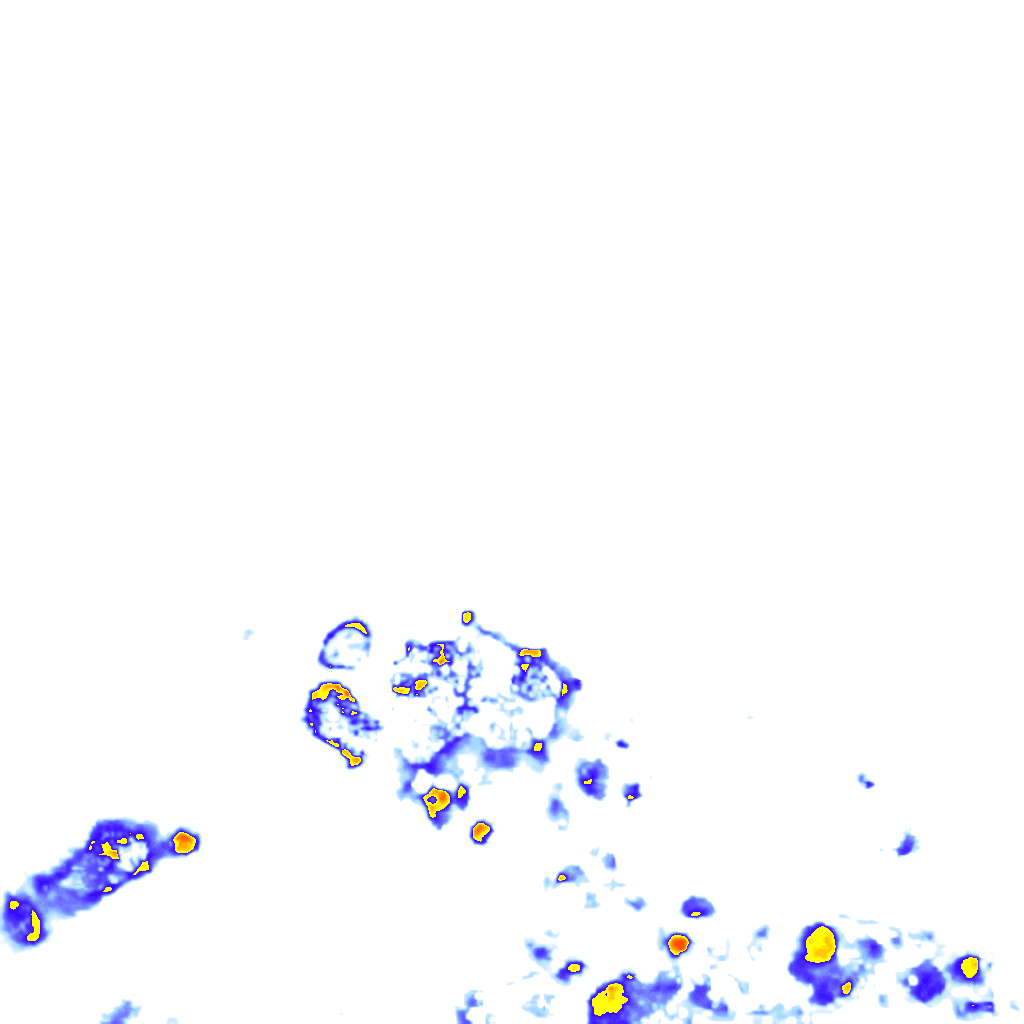 rainLayer