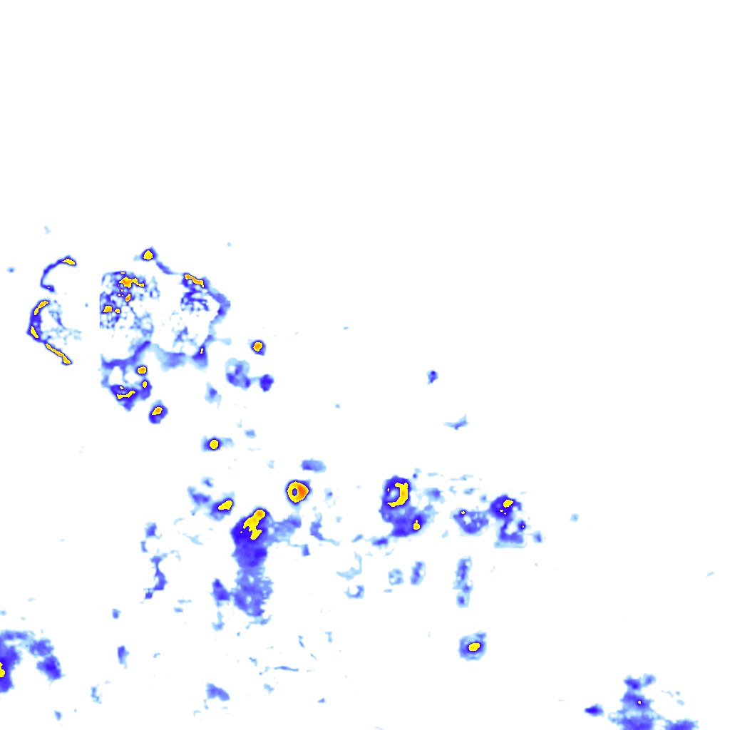 rainLayer