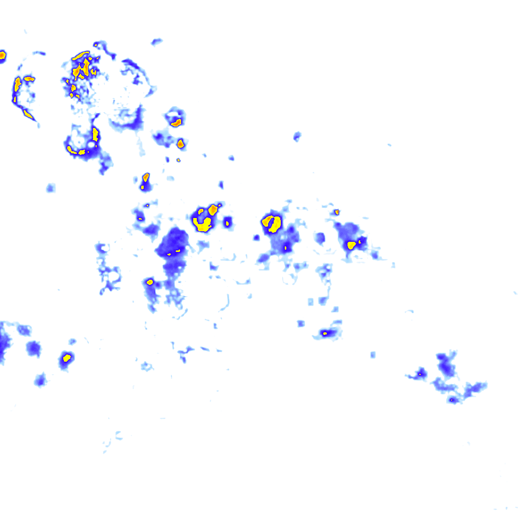 Image Layer